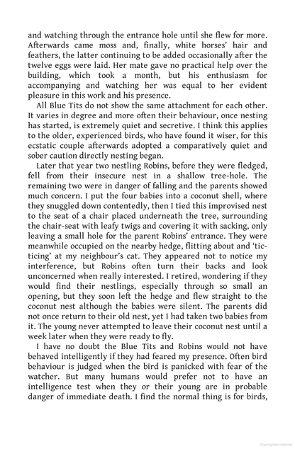 Birds as Individuals: A book about birds unlike any other!