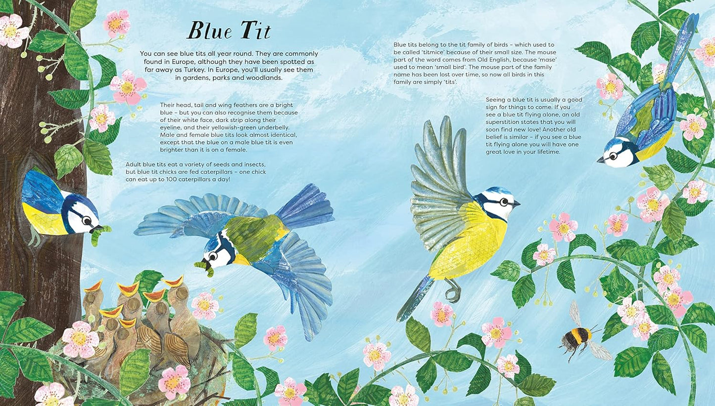National Trust: Birds of a Feather: Press out and learn about 10 beautiful birds