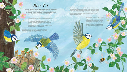 National Trust: Birds of a Feather: Press out and learn about 10 beautiful birds