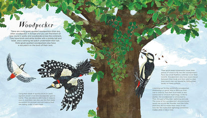 National Trust: Birds of a Feather: Press out and learn about 10 beautiful birds