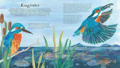 National Trust: Birds of a Feather: Press out and learn about 10 beautiful birds