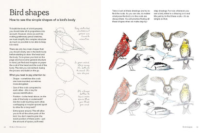 Birds in Watercolour: A Beginner's Guide to Drawing and Painting Birds