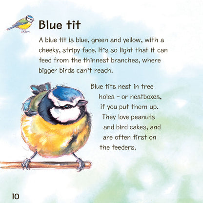 RSPB My First Book of Garden Birds