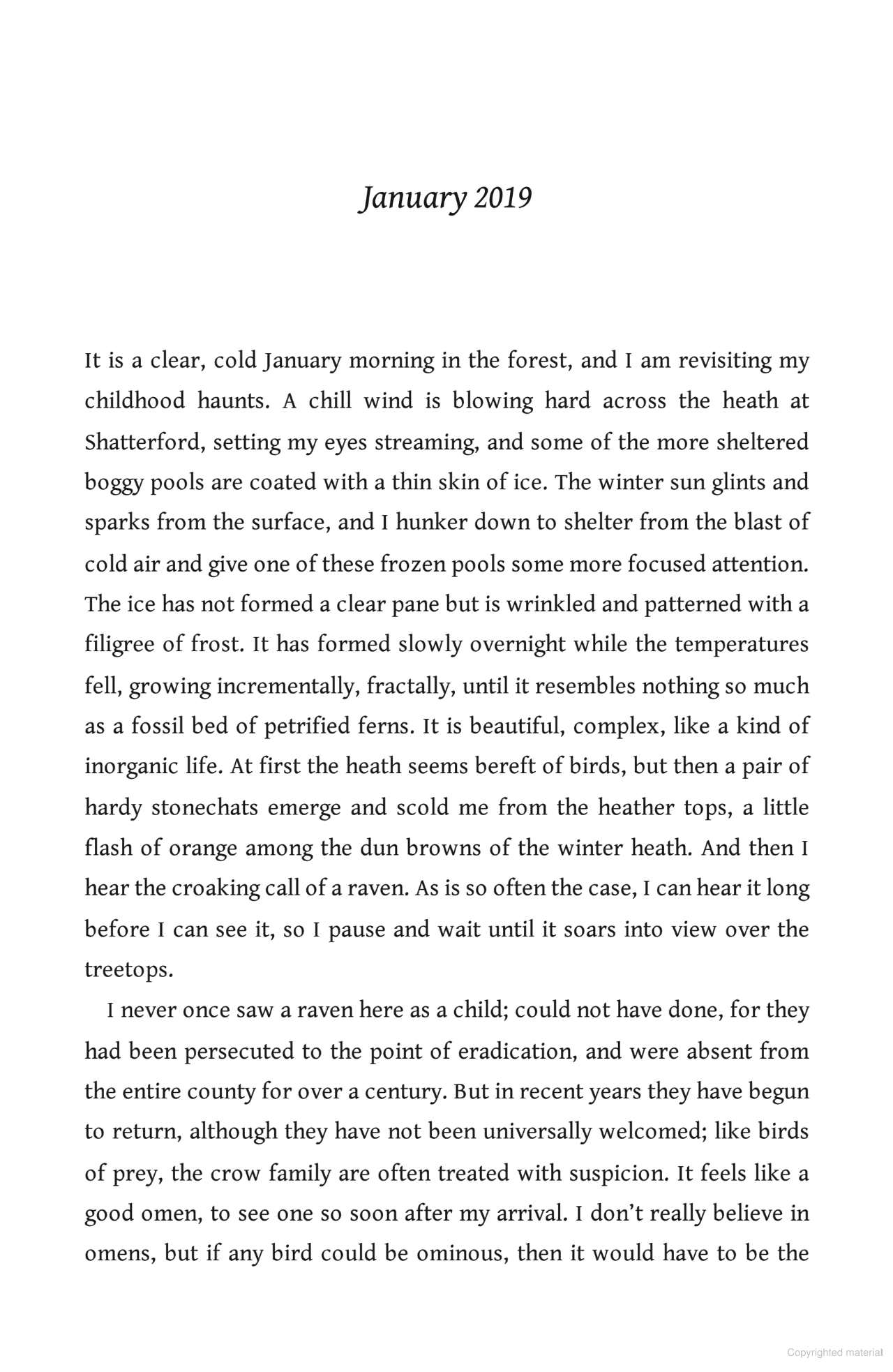 The Circling Sky : On Nature and Belonging in an Ancient Forest