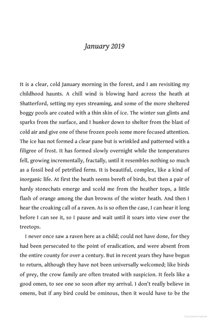 The Circling Sky : On Nature and Belonging in an Ancient Forest