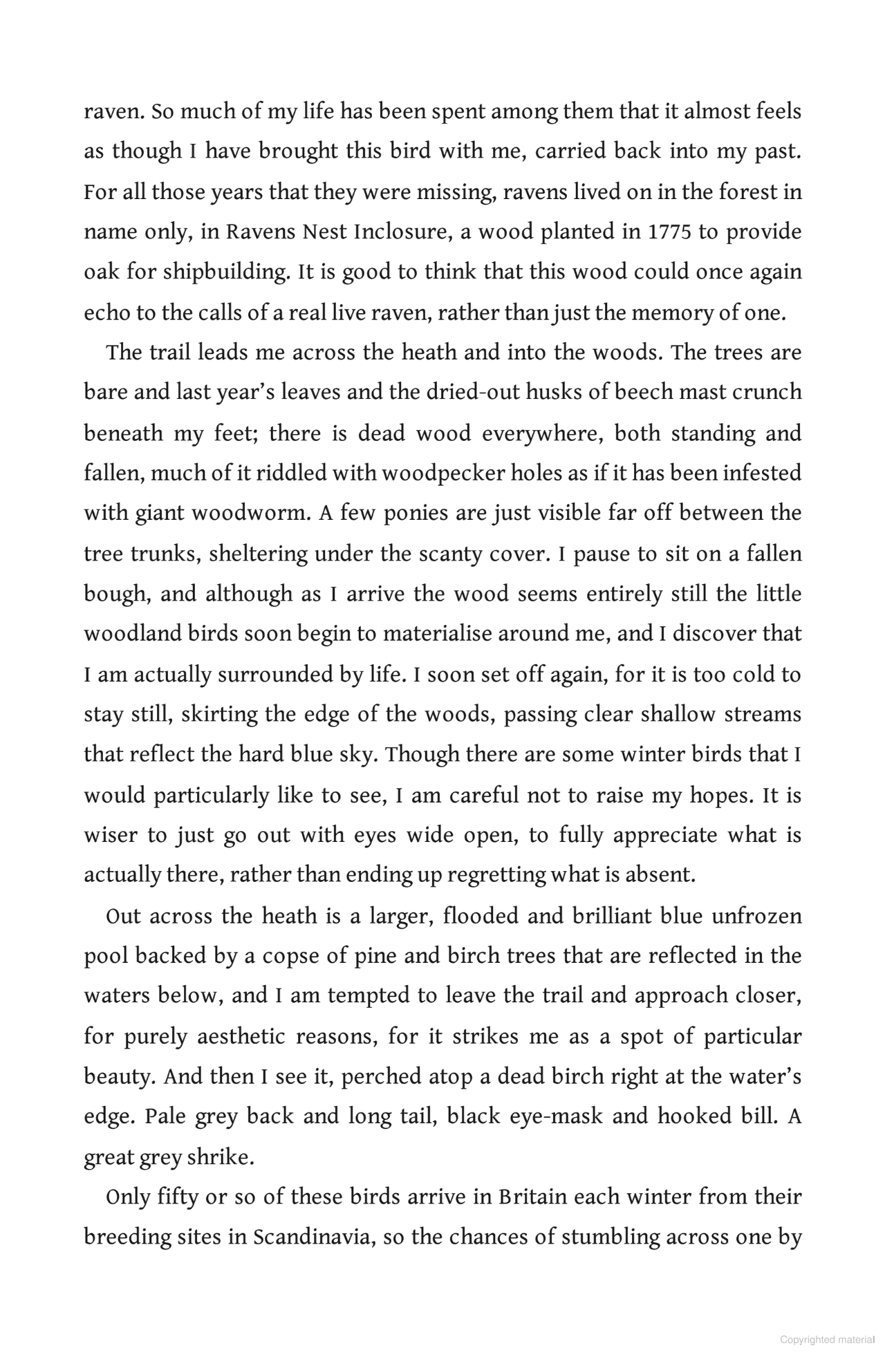 The Circling Sky : On Nature and Belonging in an Ancient Forest