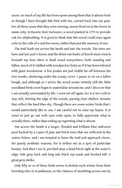 The Circling Sky : On Nature and Belonging in an Ancient Forest