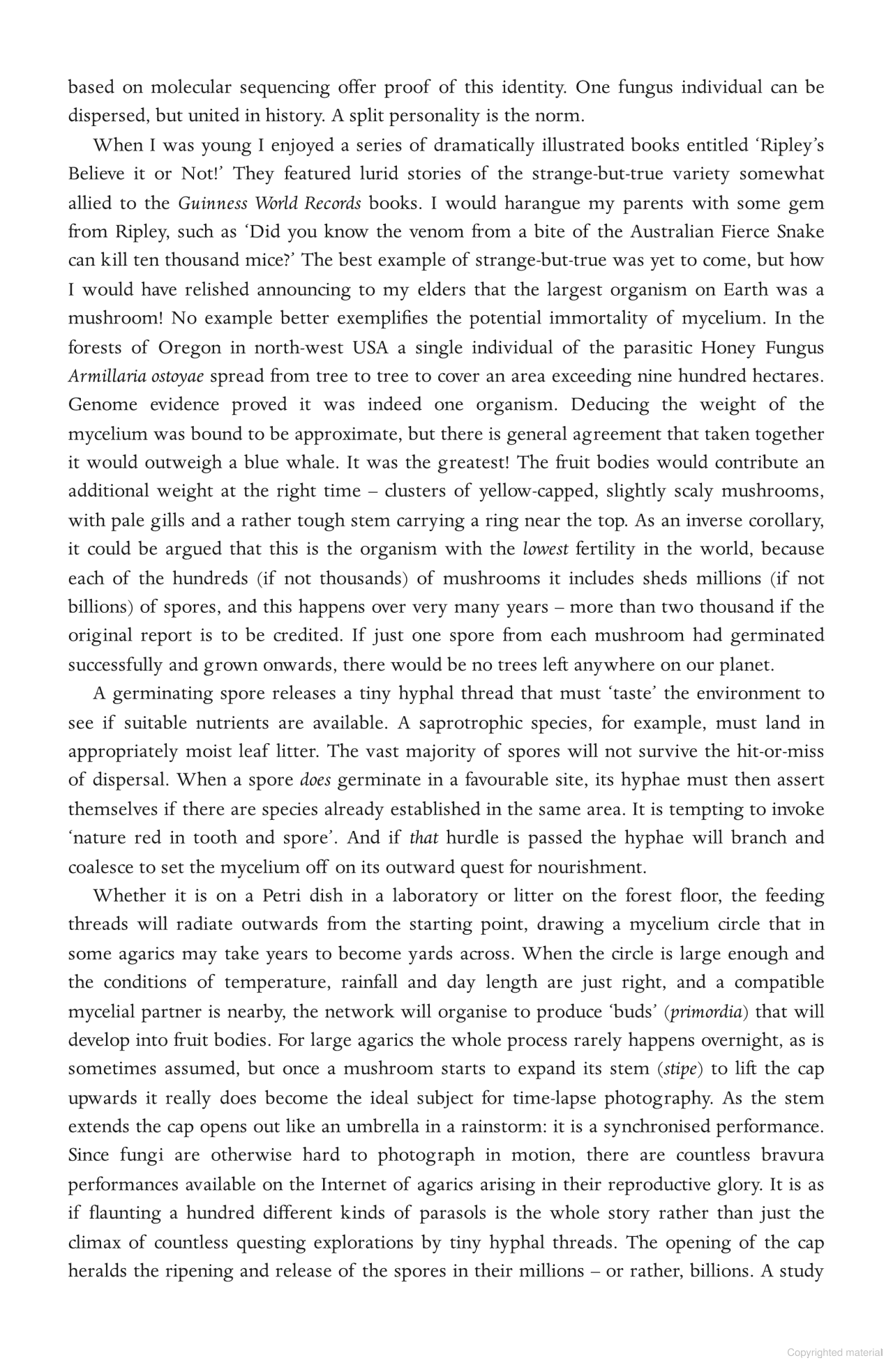 Close Encounters of the Fungal Kind : In Pursuit of Remarkable Mushrooms