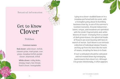 The Little Wild Library: Clover : Simple Things to Do with the Plants Around You