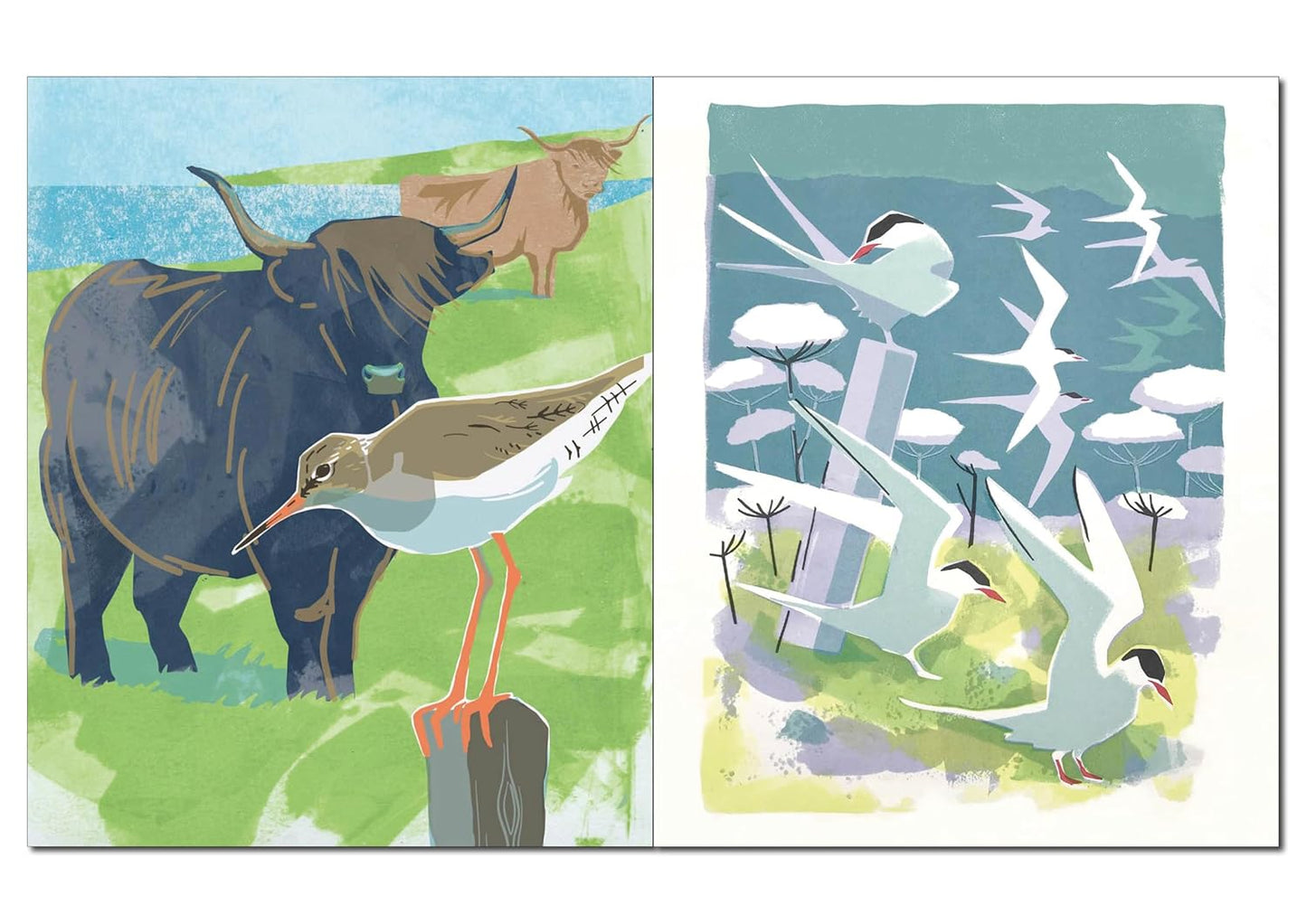 Community : People and Wildlife on the West Coast of Scotland