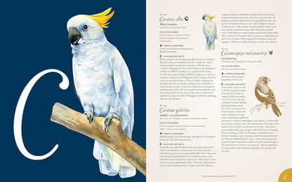 The Complete Language of Birds: A Definitive and Illustrated History