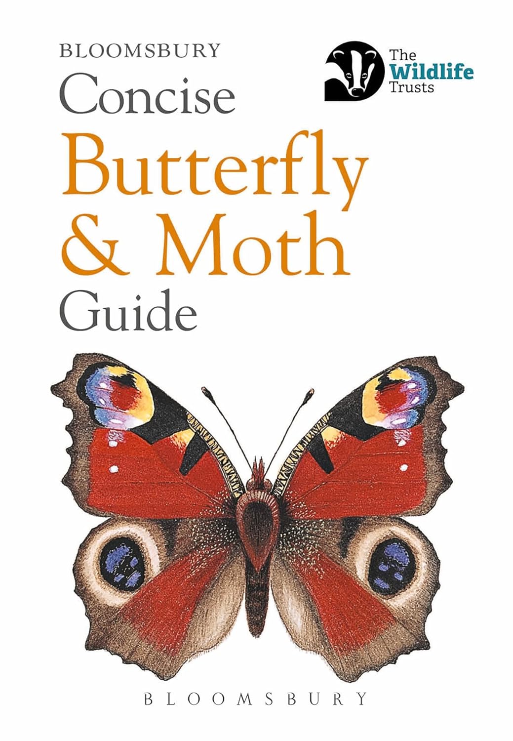 Concise Butterfly & Moth Guide (Concise Guides)