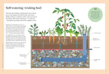RHS Greener Gardening: Containers: the sustainable guide to growing flowers, shrubs and crops in pots