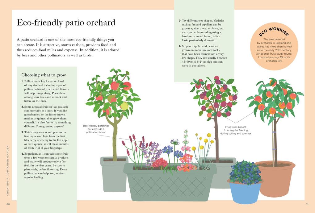 RHS Greener Gardening: Containers: the sustainable guide to growing flowers, shrubs and crops in pots