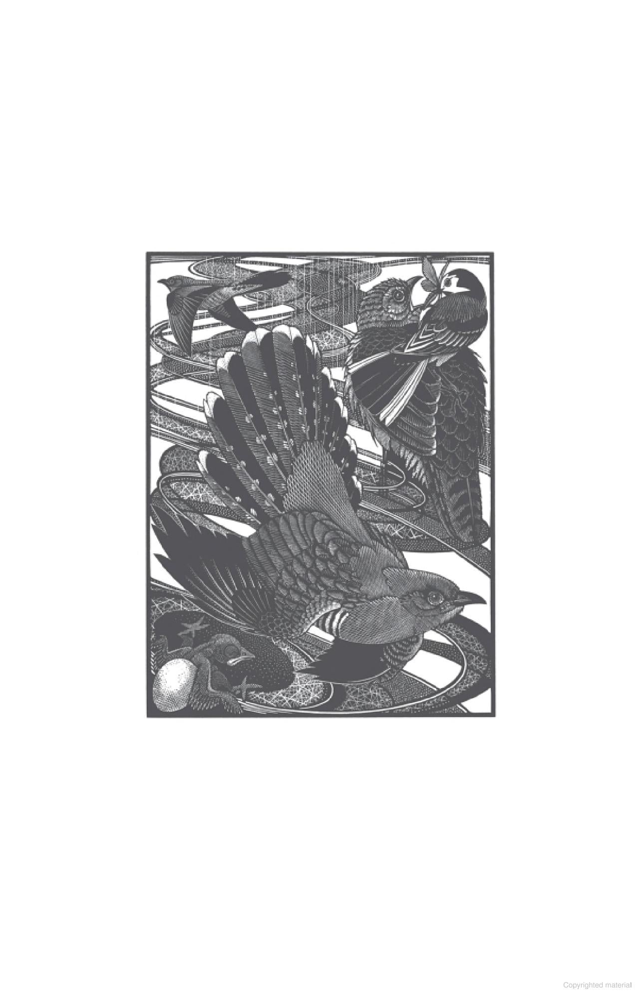 The Curious Life of the Cuckoo