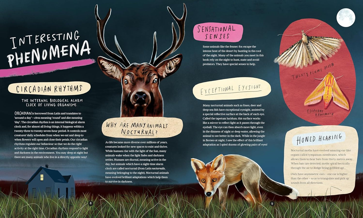 A Wild Child's Guide to Nature at Night: The perfect gift book for young nature lovers