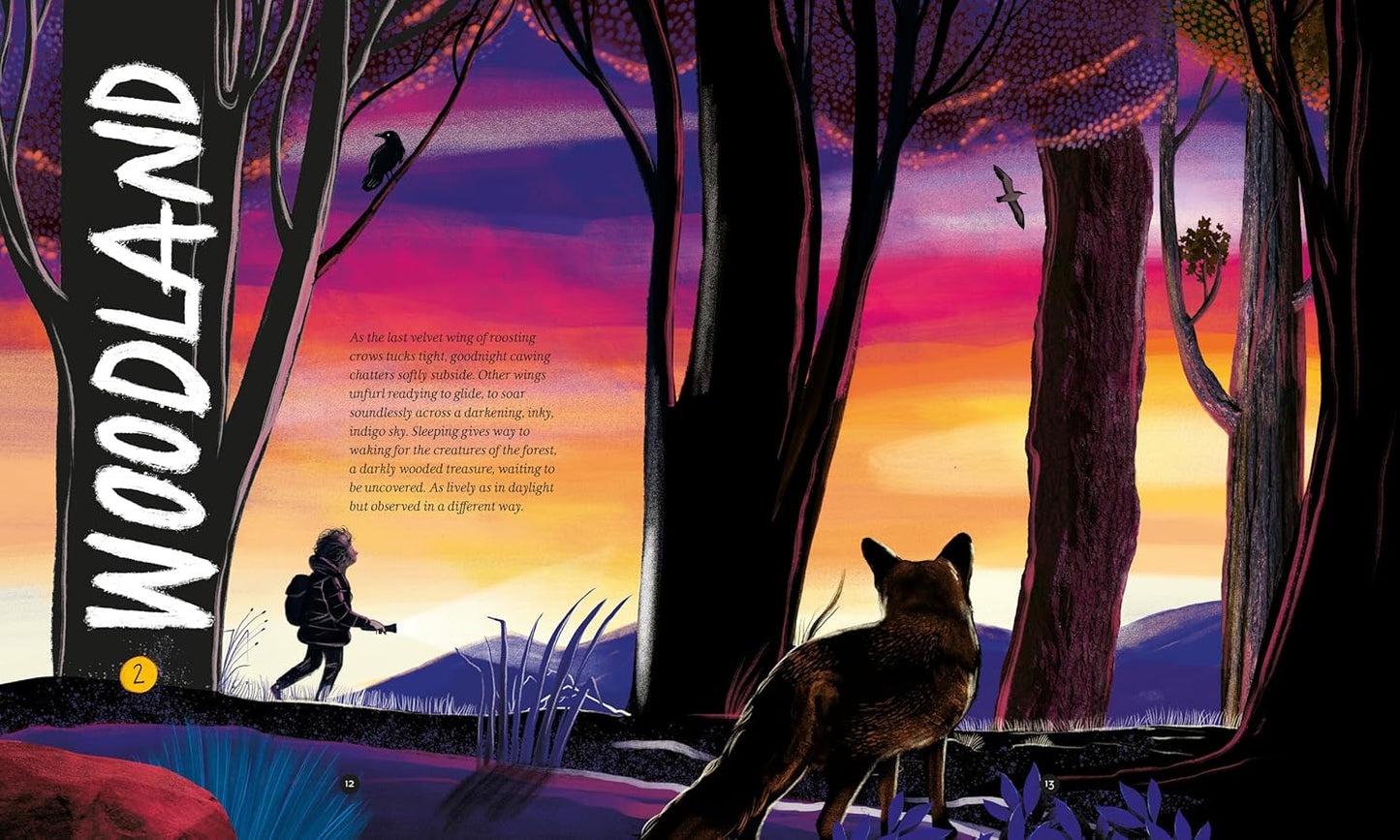 A Wild Child's Guide to Nature at Night: The perfect gift book for young nature lovers