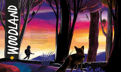 A Wild Child's Guide to Nature at Night: The perfect gift book for young nature lovers