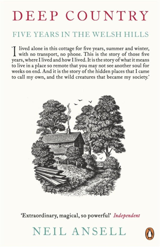 Deep Country : Five Years in the Welsh Hills