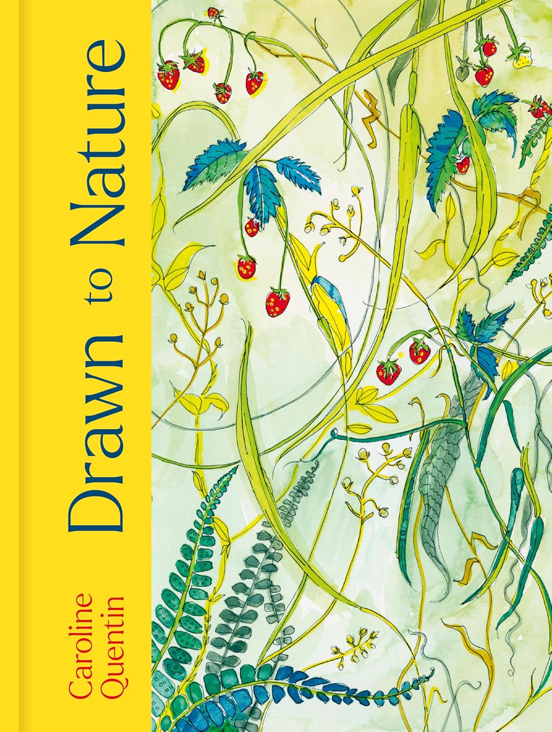 Drawn to Nature