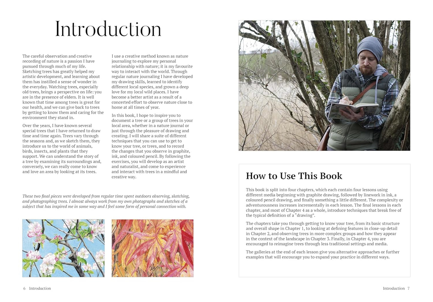 How to Draw a Tree: From the Fruit to the Forest: A Step-by-Step Course for the Nature Artist