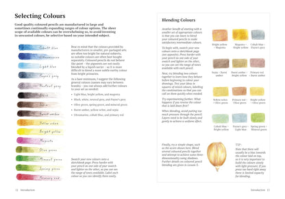 How to Draw a Tree: From the Fruit to the Forest: A Step-by-Step Course for the Nature Artist