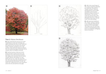 How to Draw a Tree: From the Fruit to the Forest: A Step-by-Step Course for the Nature Artist
