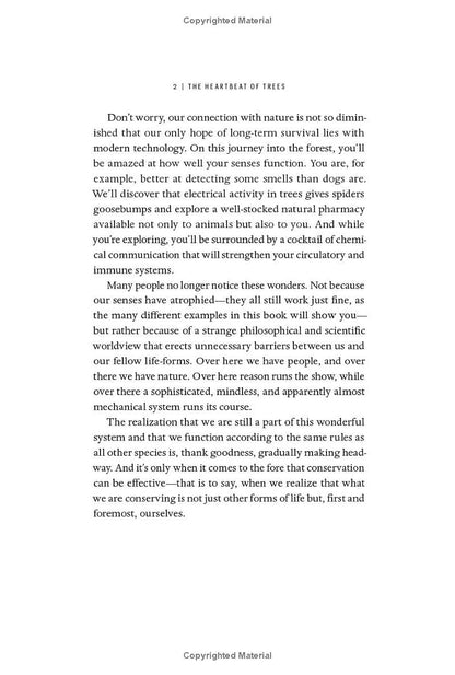 The Heartbeat of Trees: Embracing Our Ancient Bond With Forests and Nature