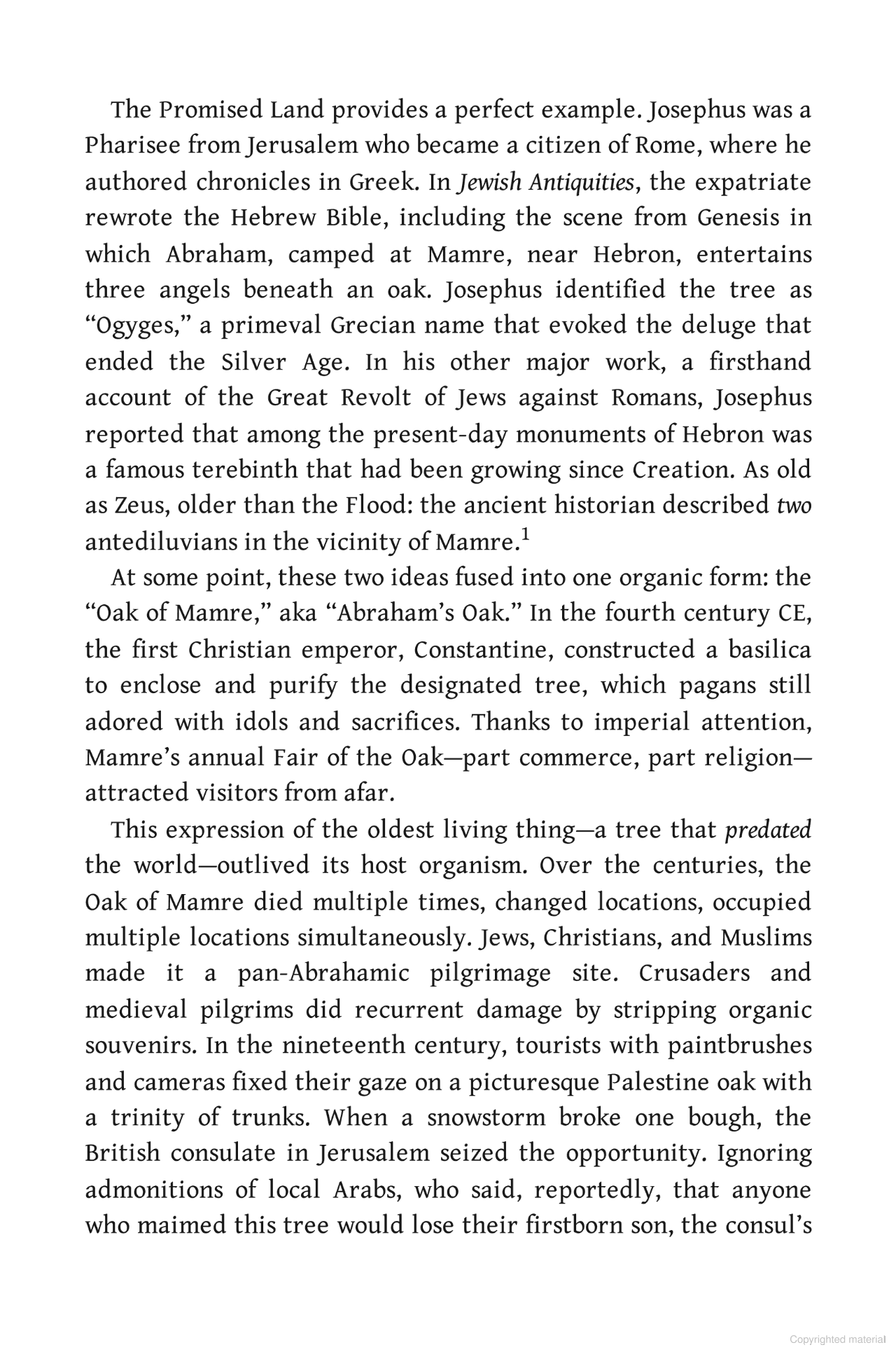 Elderflora: A Modern History of Ancient Trees