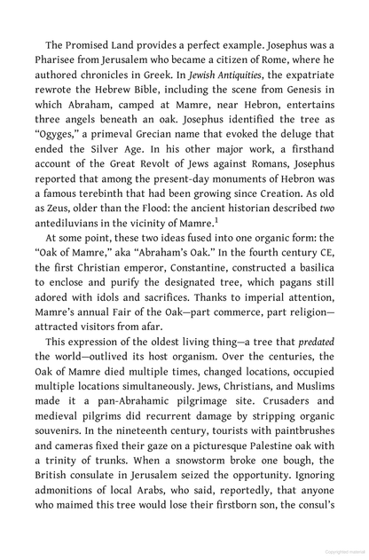 Elderflora: A Modern History of Ancient Trees