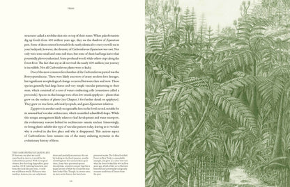 Ferns: Lessons in Survival From Earth’s Most Adaptable Plants