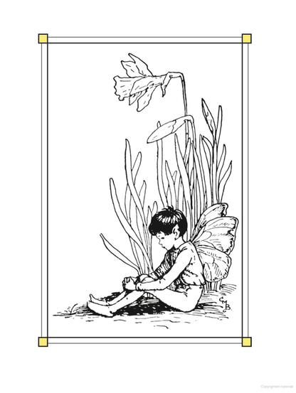 Flower Fairies of the Spring