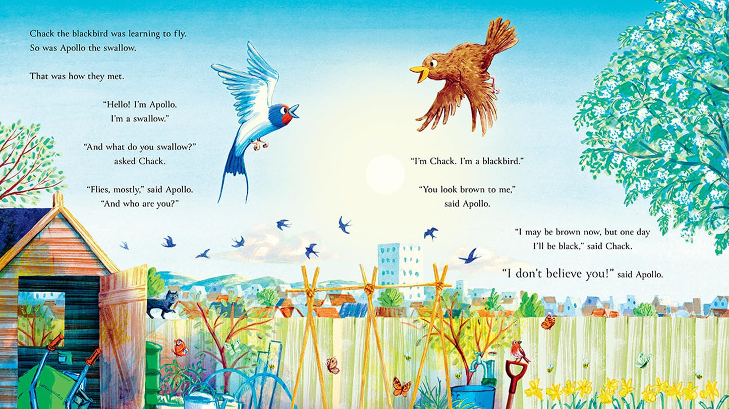 Follow the Swallow: From the bestselling author of The Gruffalo