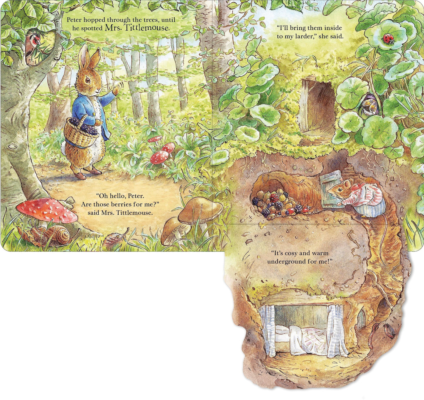 Peter Rabbit: Forest Homes A Peep-Inside Tale