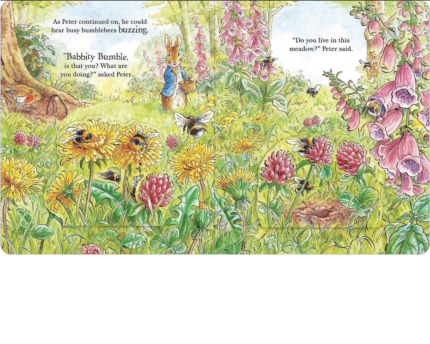 Peter Rabbit: Forest Homes A Peep-Inside Tale