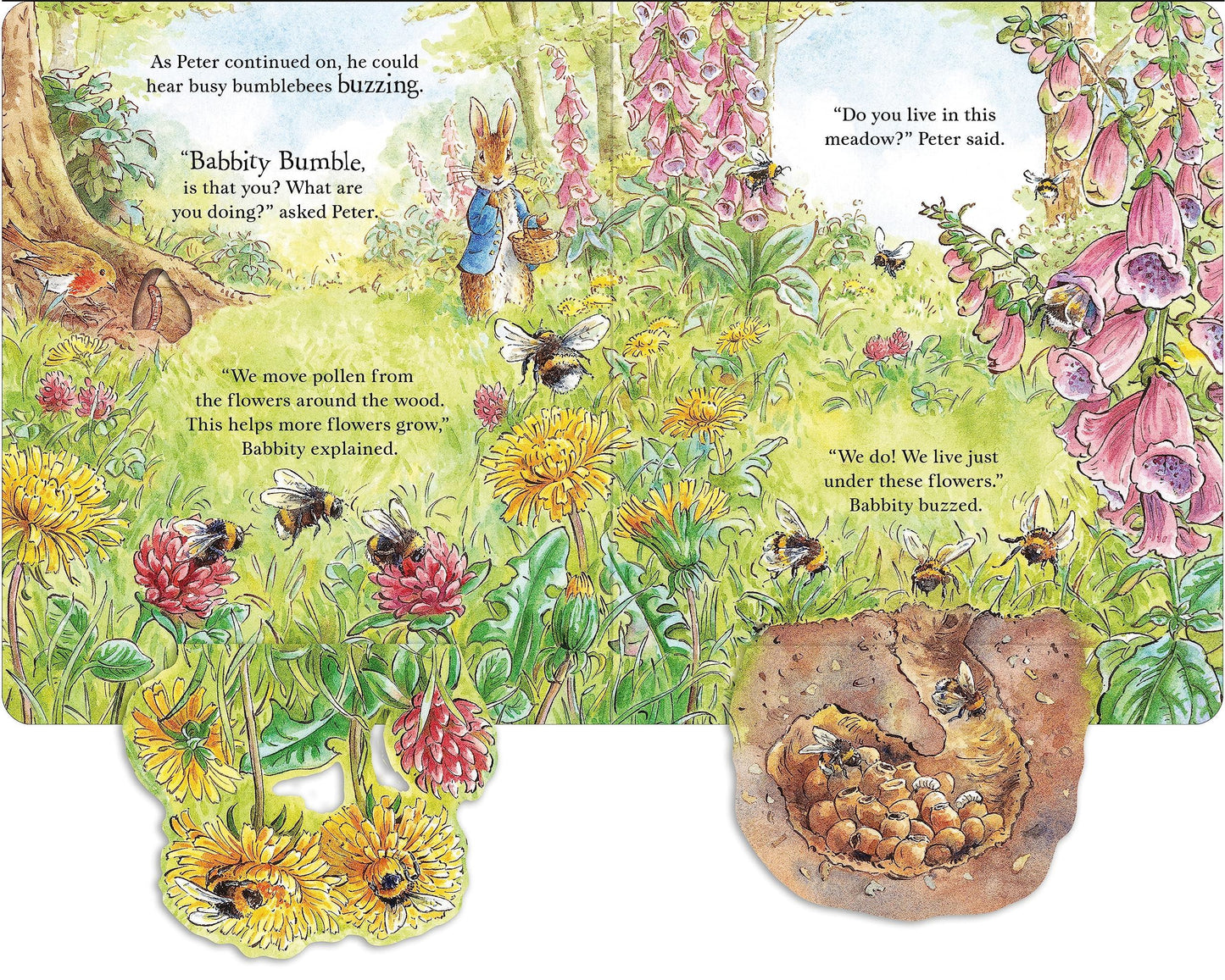 Peter Rabbit: Forest Homes A Peep-Inside Tale