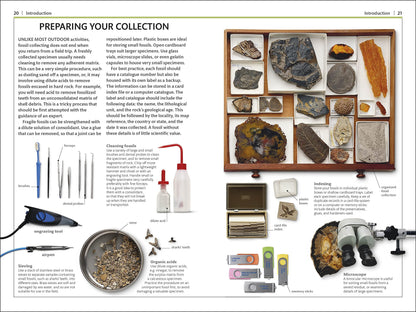 Fossils: DK Handbooks