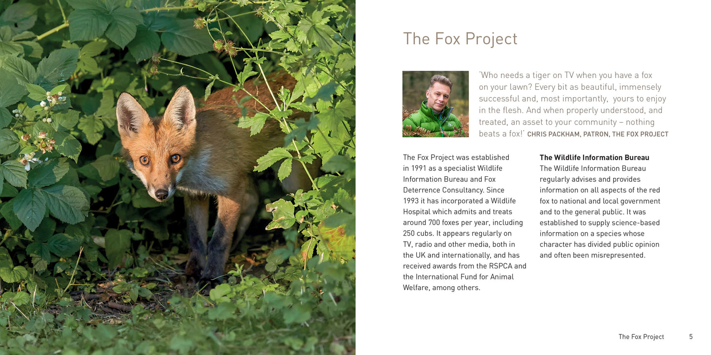 The Fox Book