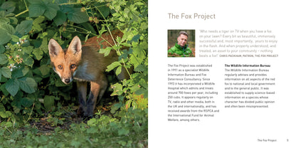 The Fox Book