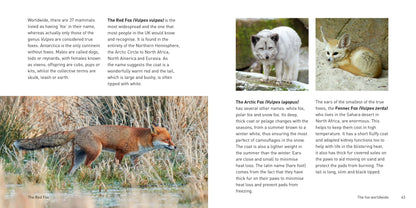 The Fox Book