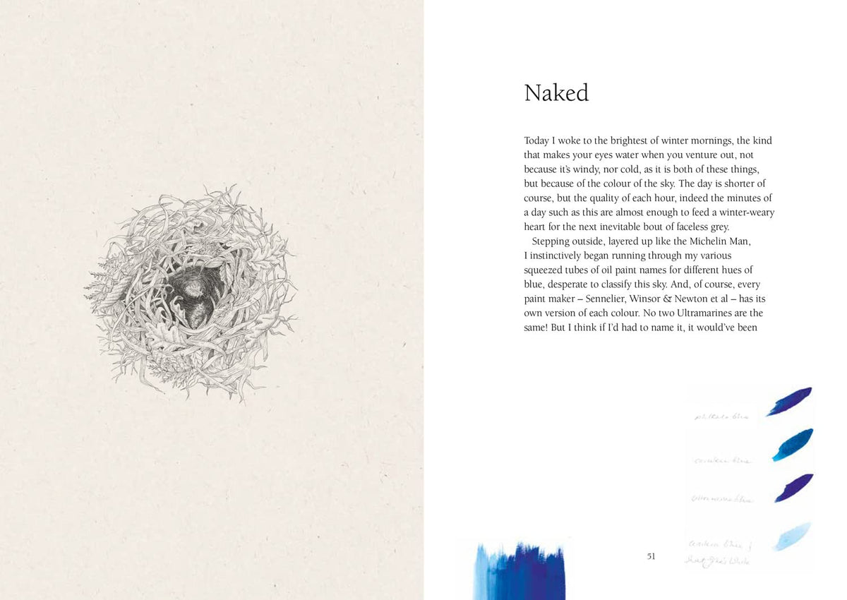 From Field & Forest: An Artist's Year in Paint and Pen