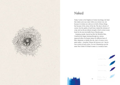 From Field & Forest: An Artist's Year in Paint and Pen