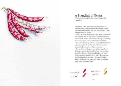 From Field & Forest: An Artist's Year in Paint and Pen