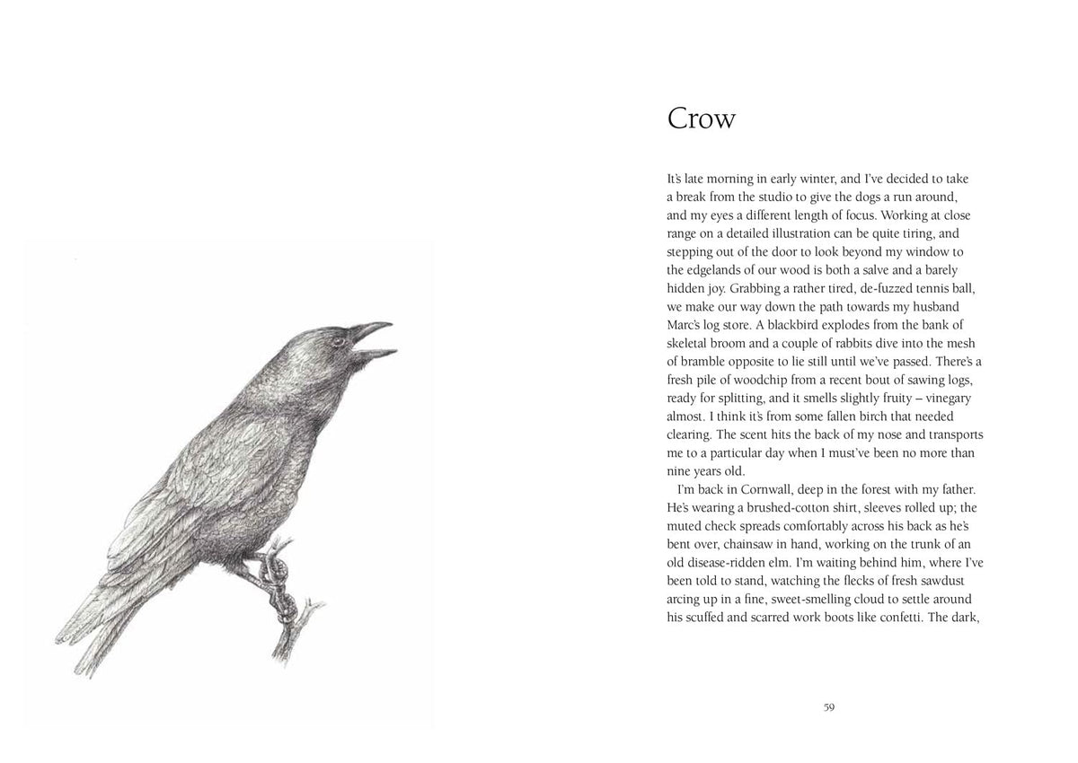 From Field & Forest: An Artist's Year in Paint and Pen