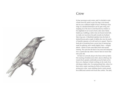 From Field & Forest: An Artist's Year in Paint and Pen