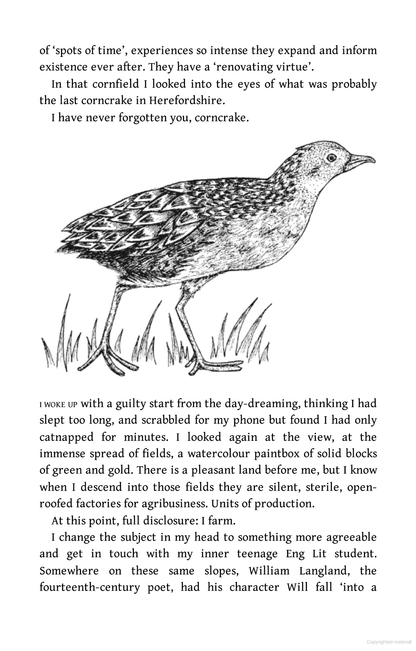 The Running Hare: The Secret Life of Farmland