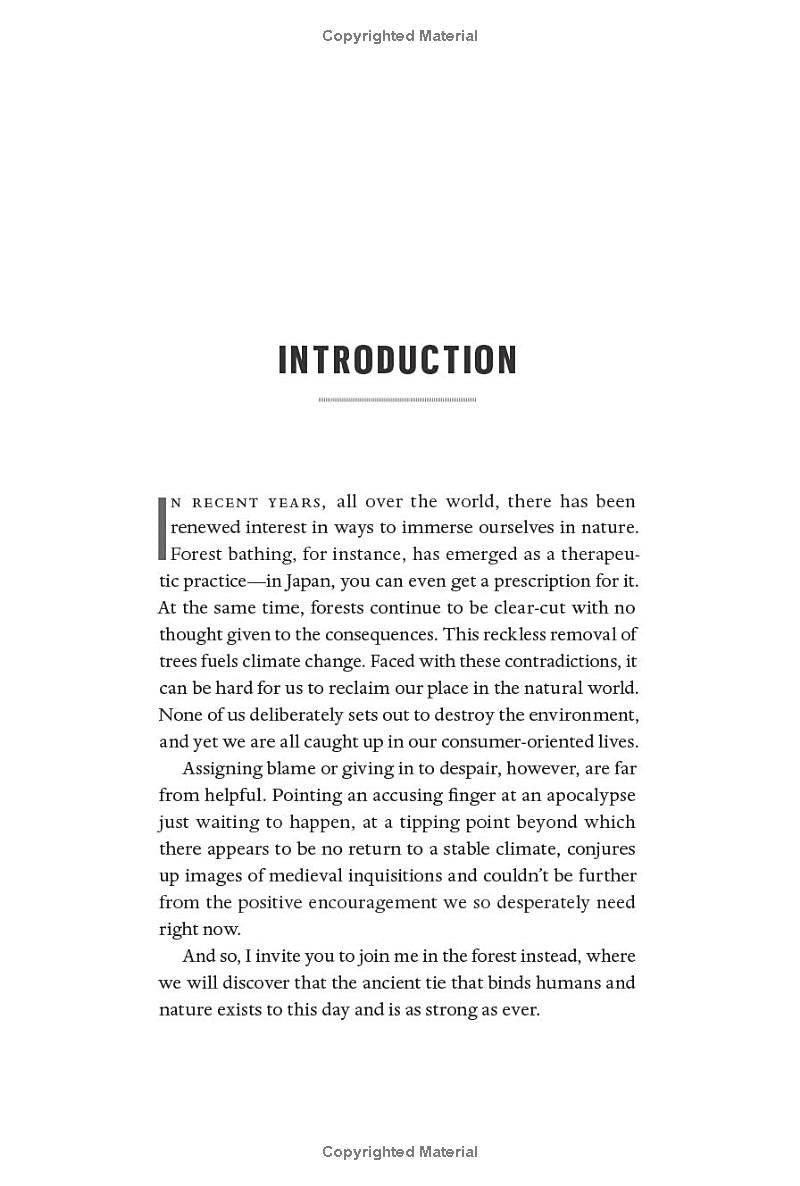 The Heartbeat of Trees: Embracing Our Ancient Bond With Forests and Nature