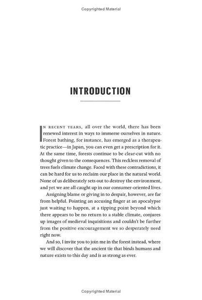 The Heartbeat of Trees: Embracing Our Ancient Bond With Forests and Nature