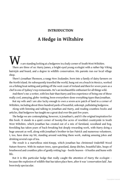 Hedgelands: A wild wander around Britain’s greatest habitat