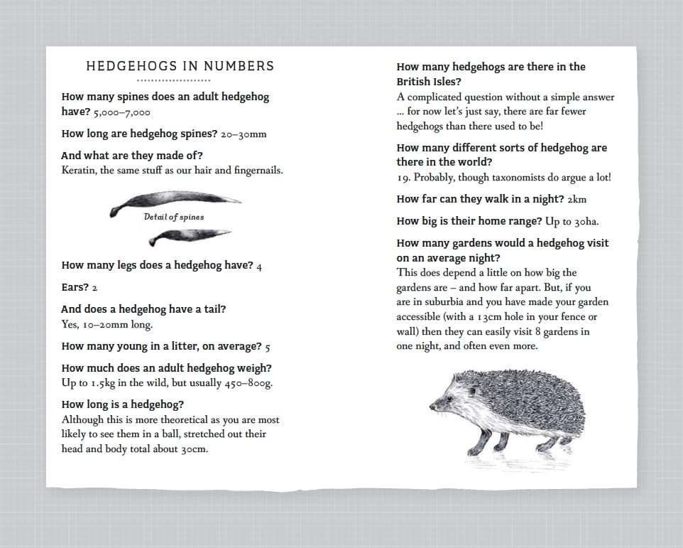 RSPB Pocket Book of Hedgehogs